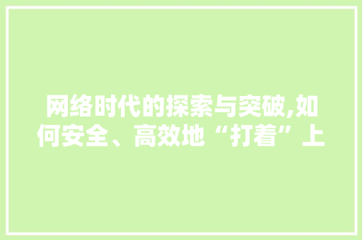网络时代的探索与突破,如何安全、高效地“打着”上网