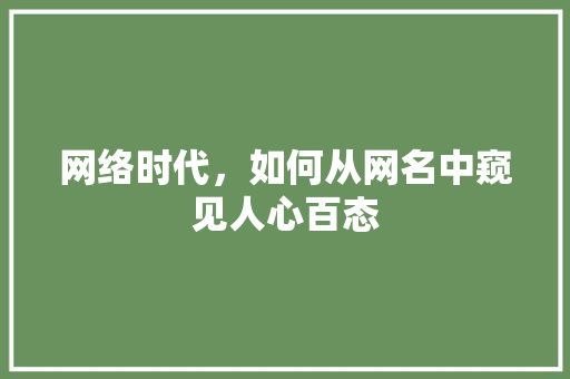 网络时代，如何从网名中窥见人心百态