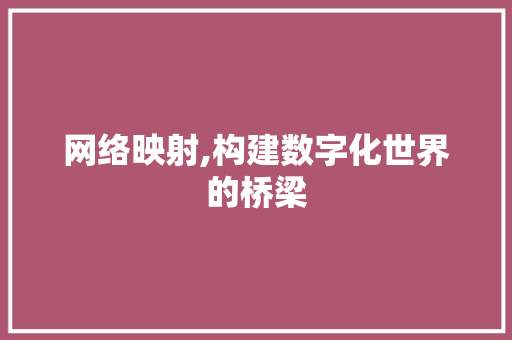 网络映射,构建数字化世界的桥梁