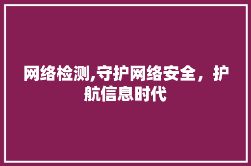 网络检测,守护网络安全，护航信息时代
