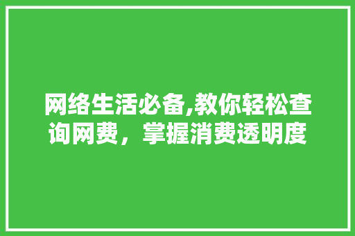 网络生活必备,教你轻松查询网费，掌握消费透明度 网络技术