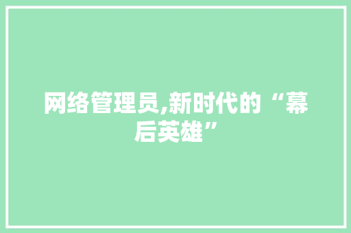 网络管理员,新时代的“幕后英雄”