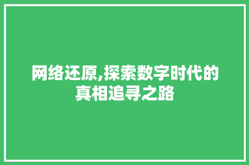 网络还原,探索数字时代的真相追寻之路