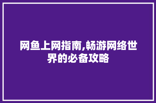 网鱼上网指南,畅游网络世界的必备攻略