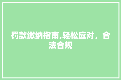 罚款缴纳指南,轻松应对，合法合规