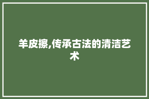 羊皮擦,传承古法的清洁艺术