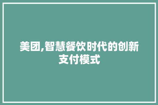 美团,智慧餐饮时代的创新支付模式 电脑基础
