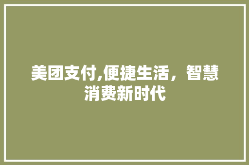美团支付,便捷生活，智慧消费新时代