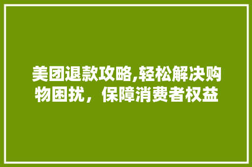 美团退款攻略,轻松解决购物困扰，保障消费者权益