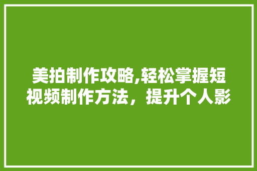 美拍制作攻略,轻松掌握短视频制作方法，提升个人影响力
