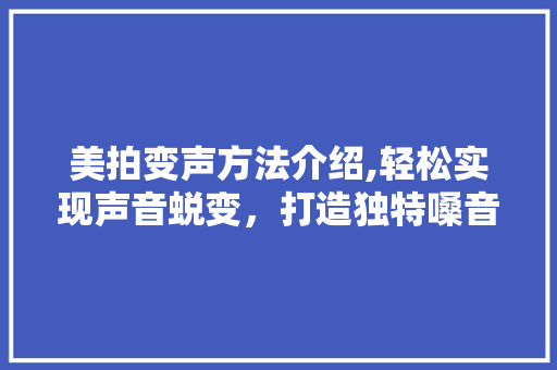 美拍变声方法介绍,轻松实现声音蜕变，打造独特嗓音魅力