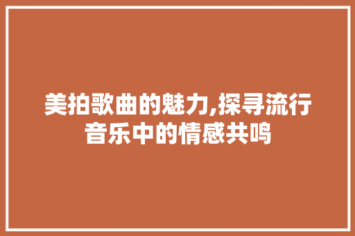 美拍歌曲的魅力,探寻流行音乐中的情感共鸣