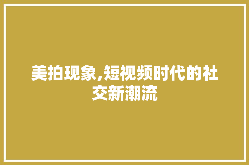 美拍现象,短视频时代的社交新潮流