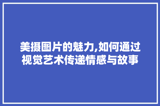 美摄图片的魅力,如何通过视觉艺术传递情感与故事