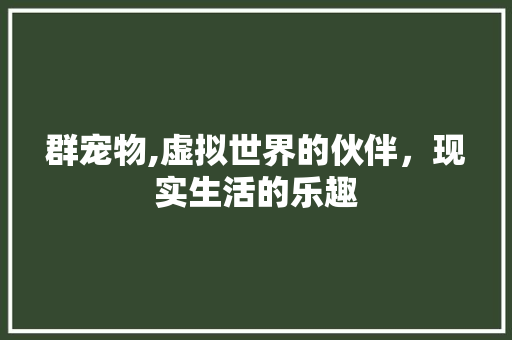 群宠物,虚拟世界的伙伴，现实生活的乐趣