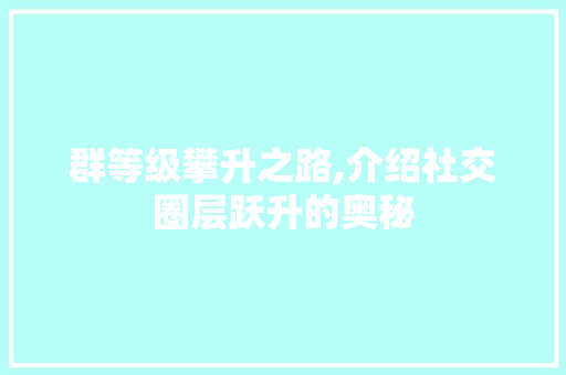 群等级攀升之路,介绍社交圈层跃升的奥秘