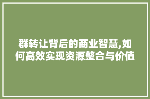 群转让背后的商业智慧,如何高效实现资源整合与价值最大化