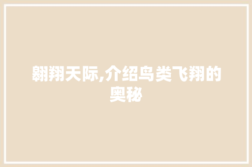 翱翔天际,介绍鸟类飞翔的奥秘