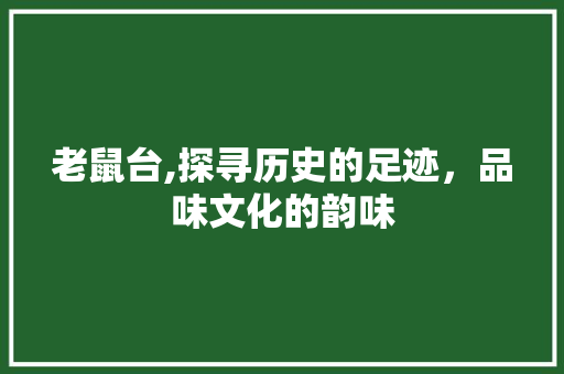 老鼠台,探寻历史的足迹，品味文化的韵味