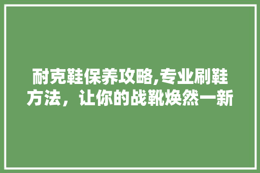 耐克鞋保养攻略,专业刷鞋方法，让你的战靴焕然一新