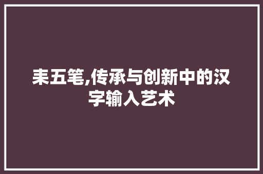耒五笔,传承与创新中的汉字输入艺术