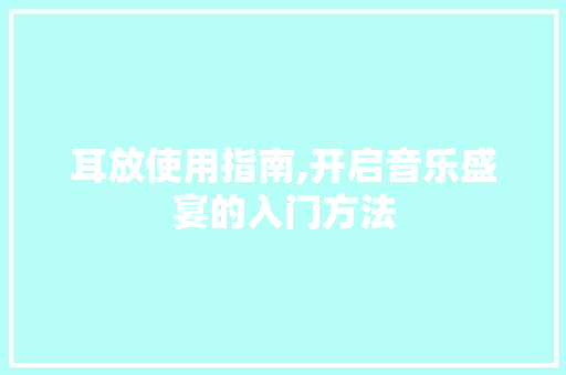 耳放使用指南,开启音乐盛宴的入门方法