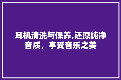 耳机清洗与保养,还原纯净音质，享受音乐之美