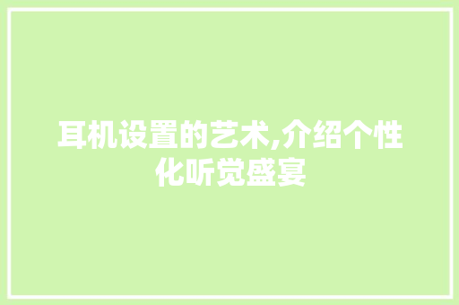 耳机设置的艺术,介绍个性化听觉盛宴