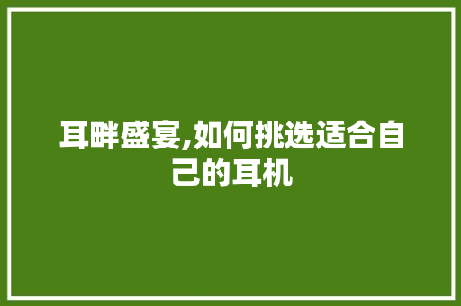 耳畔盛宴,如何挑选适合自己的耳机
