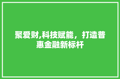 聚爱财,科技赋能，打造普惠金融新标杆