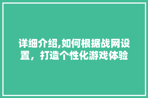 详细介绍,如何根据战网设置，打造个性化游戏体验