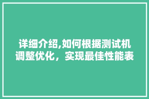 详细介绍,如何根据测试机调整优化，实现最佳性能表现