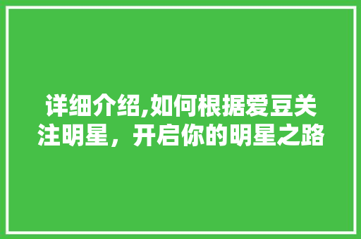 详细介绍,如何根据爱豆关注明星，开启你的明星之路 操作系统