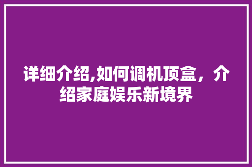 详细介绍,如何调机顶盒,介绍家庭娱乐新境界 详细介绍,如何调机顶盒,介绍家庭娱乐新境界