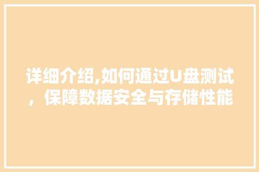 详细介绍,如何通过U盘测试，保障数据安全与存储性能