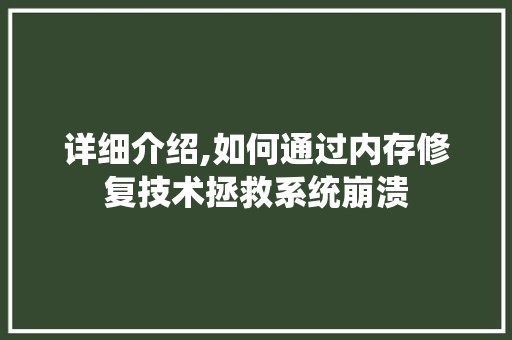 详细介绍,如何通过内存修复技术拯救系统崩溃