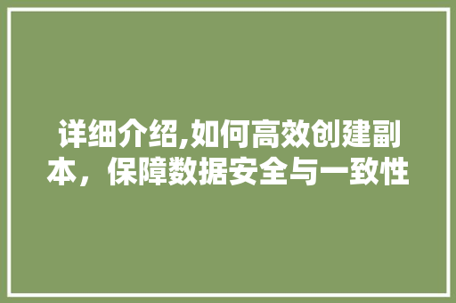 详细介绍,如何高效创建副本，保障数据安全与一致性 操作系统