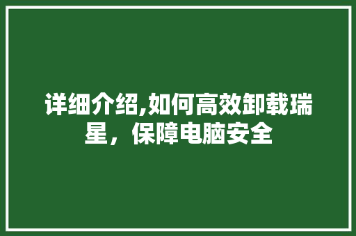 详细介绍,如何高效卸载瑞星，保障电脑安全
