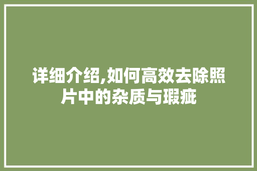 详细介绍,如何高效去除照片中的杂质与瑕疵 编程语言