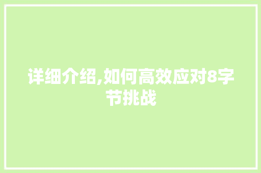 详细介绍,如何高效应对8字节挑战 电脑故障维修