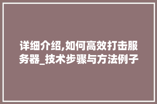 详细介绍,如何高效打击服务器_技术步骤与方法例子