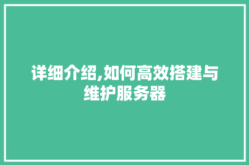 详细介绍,如何高效搭建与维护服务器