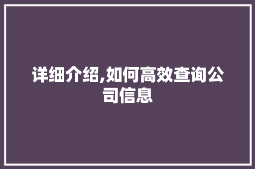 详细介绍,如何高效查询公司信息