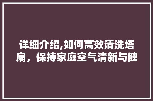 详细介绍,如何高效清洗塔扇，保持家庭空气清新与健康