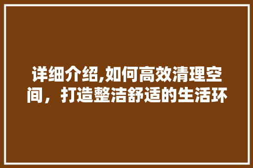 详细介绍,如何高效清理空间，打造整洁舒适的生活环境