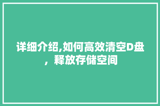 详细介绍,如何高效清空D盘，释放存储空间