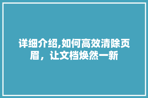 详细介绍,如何高效清除页眉，让文档焕然一新