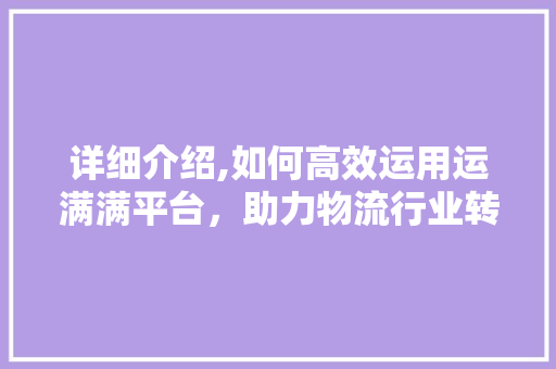 详细介绍,如何高效运用运满满平台，助力物流行业转型升级