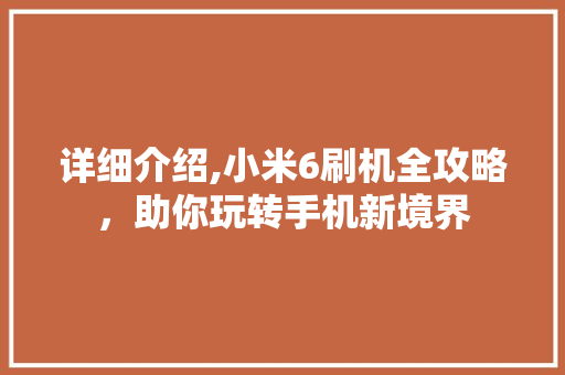 详细介绍,小米6刷机全攻略，助你玩转手机新境界