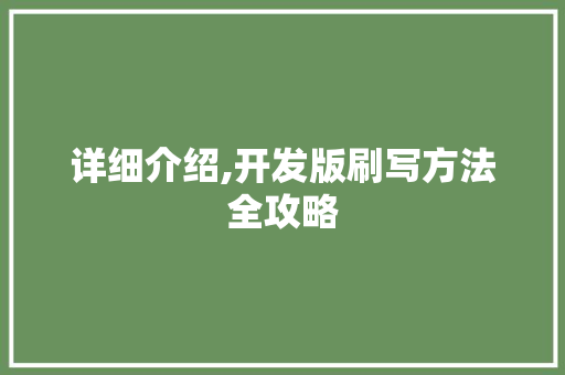 详细介绍,开发版刷写方法全攻略